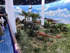 -吉林省自然博物馆