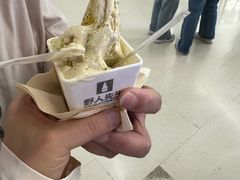 -野人先生Gelato(上海长宁龙之梦店)
