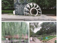 -元大都城垣遗址公园