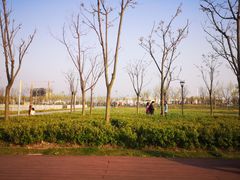 -前滩友城公园-停车场