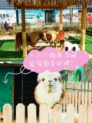 -萌宠亲子动物乐园(槐房万达店)