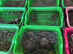 -众味海鲜大排档·活海鲜·潮汕味(南澳店)