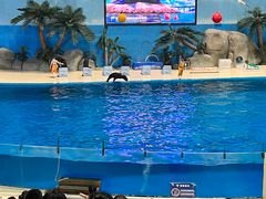 -泉城欧乐堡海洋极地世界