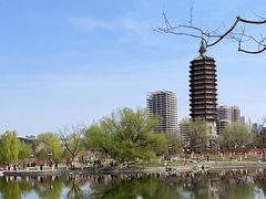 -西海子公园