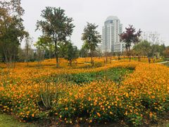 -江南大学(蠡湖校区)