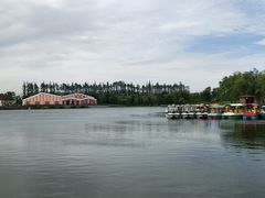 -上海长兴岛郊野公园