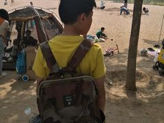 -东郊湿地公园