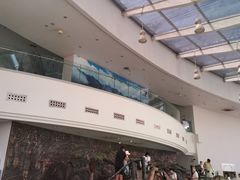 -陕西自然博物馆