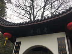 -十八棵（老龙井）御茶园(老龙井店)