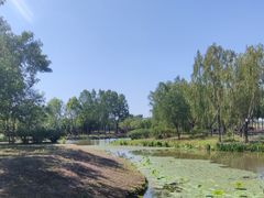-东郊湿地公园