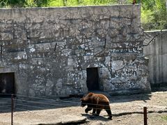 -哈尔滨北方森林动物园