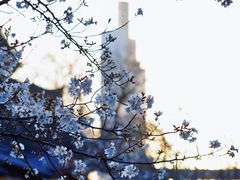 -鸡鸣寺
