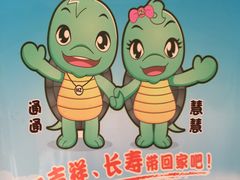 -广东惠东海龟国家级自然保护区