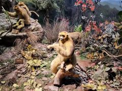 -陕西自然博物馆