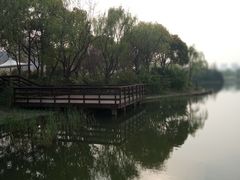 -新江湾城公园
