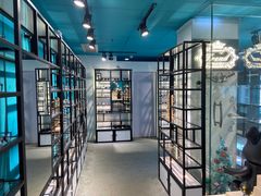 -Trend1881视光·蔡司视觉(领展广场店)