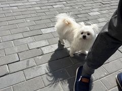-安福路