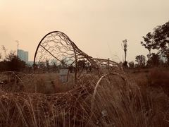 -桂溪生态公园