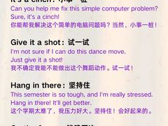 -引领英语·成人口语·雅思托福