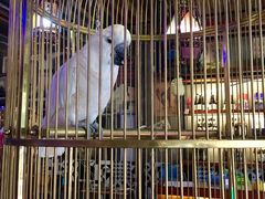 -枪火串烧·东北特色烧烤(罗湖总店)