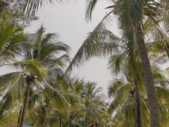 -三亚西岛海洋文化旅游区