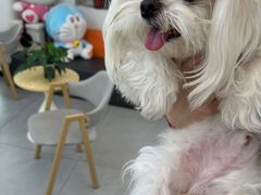 -全心全意动物诊疗中心医院(北苑店)