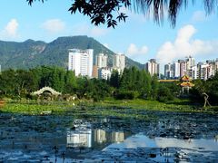 -四海公园(南山区)