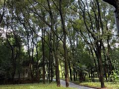 -东湖落雁景区
