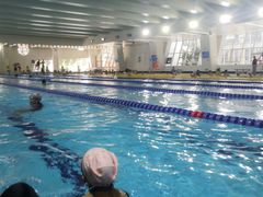 -金银湖市民文体活动中心恒温游泳馆