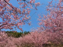 -冠豸山景区