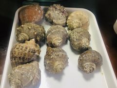 -大连海鲜斑鱼火锅(安平店)