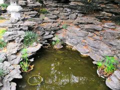 -深圳国际园林花卉博览园