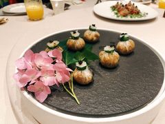 云南黑虎掌菌布袋-三利音·东方司宴(外滩店)