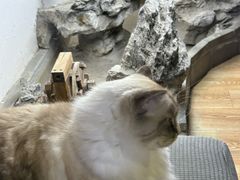 -白兔子密室(长寿路店)
