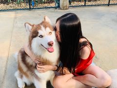 -TrueLove @ Neverland (Husky Cafe)