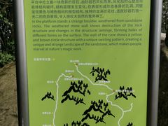 -南山植物园