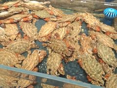 -渔傅印象滩涂霞浦海鲜(井大路店)