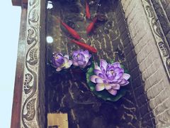 iphone_upload_pic-菩提树·素食餐厅(汇智国际商业中心店)