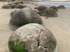 -摩拉基大圆石