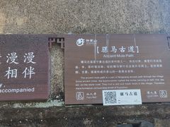 -许家山
