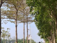 -深圳大学(丽湖校区)