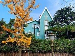 -八大关景区