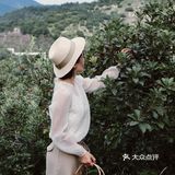 江浙沪周边游 | 又到杨梅季仙居杨梅熟了