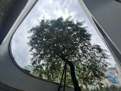 -尼依格罗香港美利酒店
