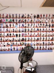 -维纳斯专业减肥