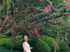 -杭州城北体育公园