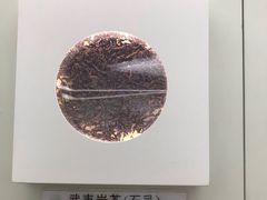 -中国茶叶博物馆(双峰馆区)