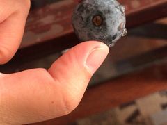 -盒马鲜生(王府广场店)
