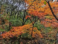 -玉渡山自然风景区