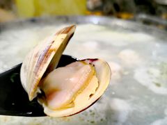 -水哥卜卜贝(东晓·胜汇里店)